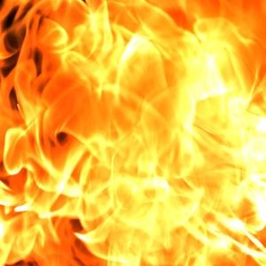 Meet your Posher, Luis